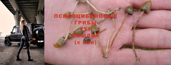 шишки Волосово