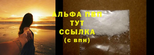 гидра Алзамай