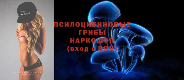 гидра Алзамай