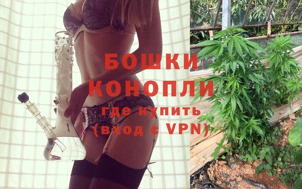 PSILOCYBIN Абаза