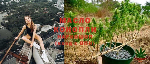 крисы Алексеевка