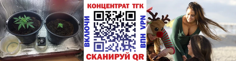 Дистиллят ТГК концентрат  Северская 
