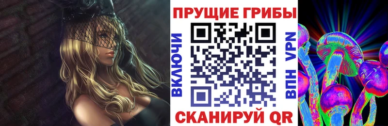купить  цена  Северская  Галлюциногенные грибы мицелий 